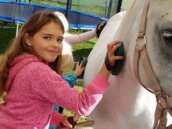 Ponyhof Work Shop Themen Tage 2018 Ponyhof Kaata Pferdewissen