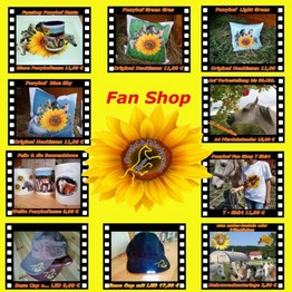 Fanshop