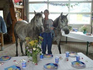 Geburtstag Ponyhof